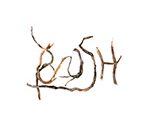 bush restaurant menu